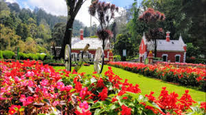 ooty sightseeing tour pacakges