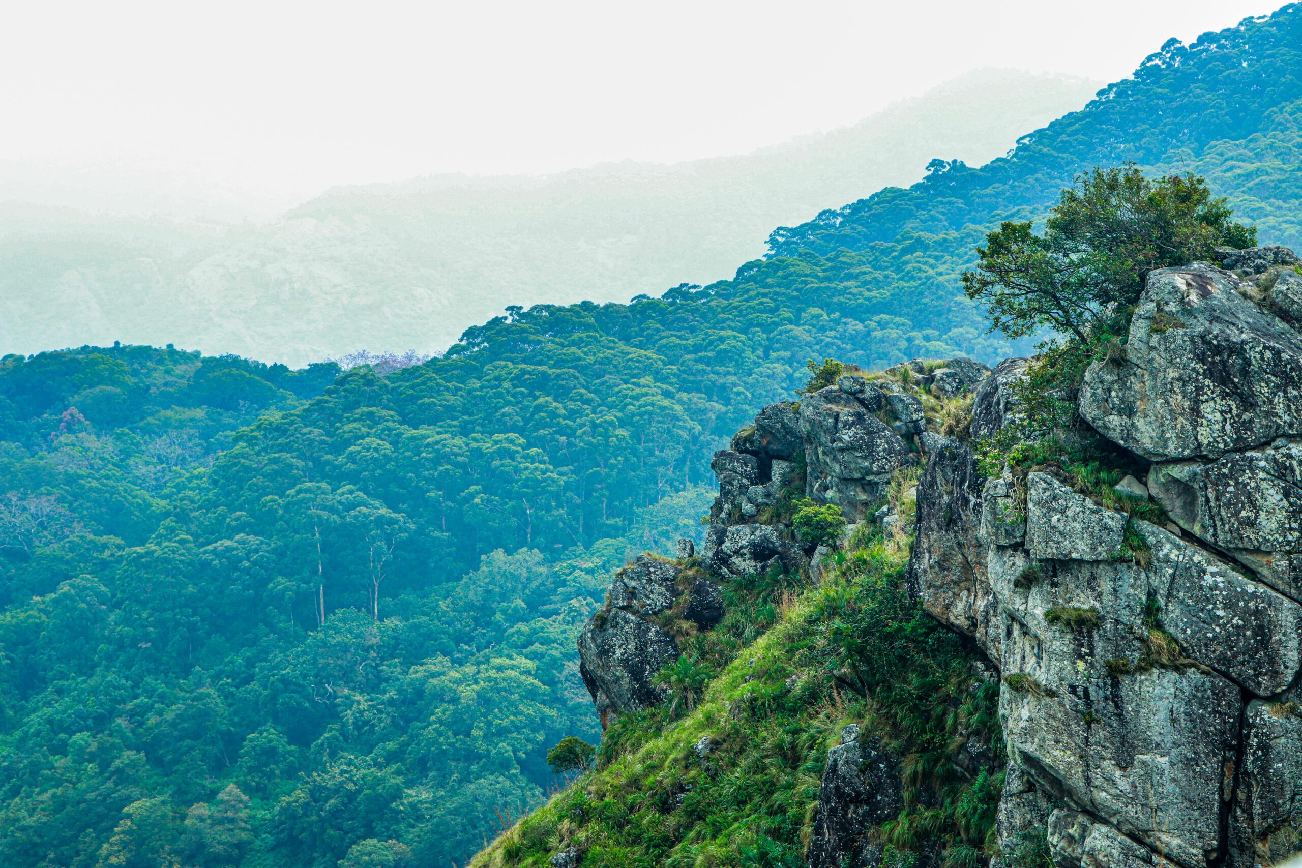 What is The Ooty Sightseeing Cab fare ?